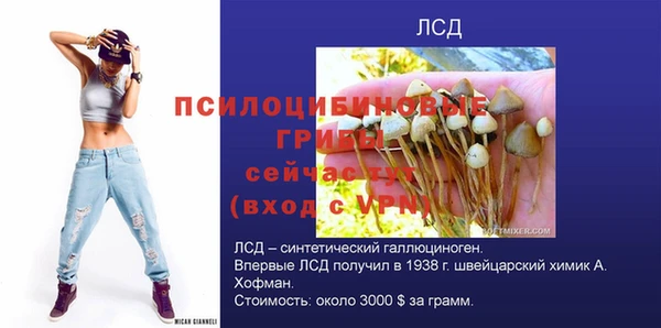 прущие крисы Армянск