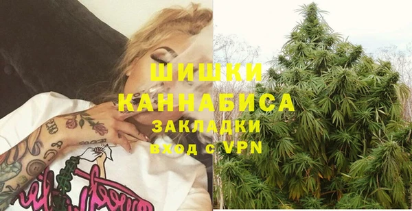 амф Аркадак