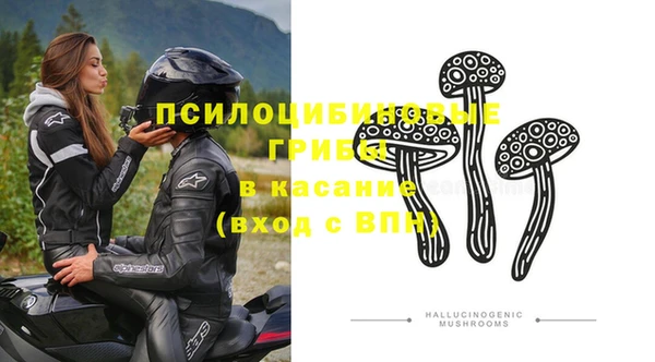 прущие крисы Армянск