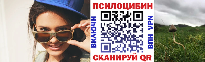 Псилоцибиновые грибы Psilocybe  как найти   Дорогобуж 